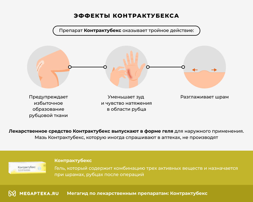 КОНТРАКТУБЕКСИЯ